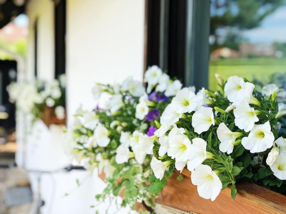 Gaestehaus Im Garten Zeitlofs Zewnętrze zdjęcie