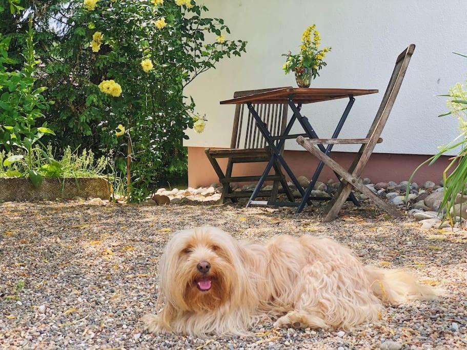 Gaestehaus Im Garten Zeitlofs Zewnętrze zdjęcie